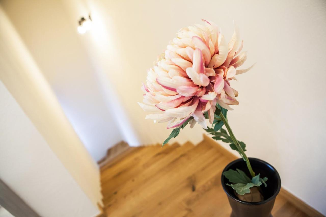 Zazi Apartmany Myto Pod Dumbierom Exterior photo